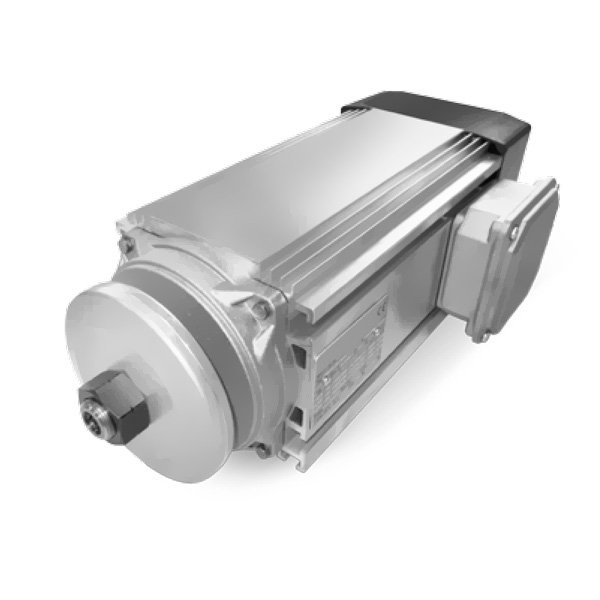 CEG motores Baixo Veio CEG motores Baixo Veio