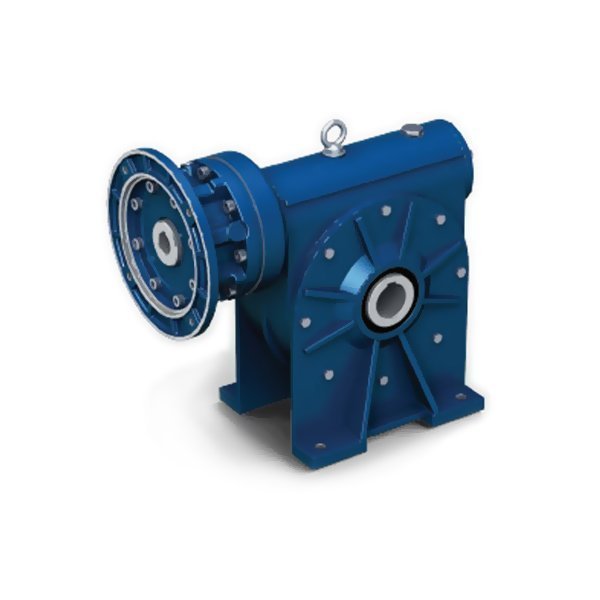 rodacoroa-semfim-seriecr-600x600