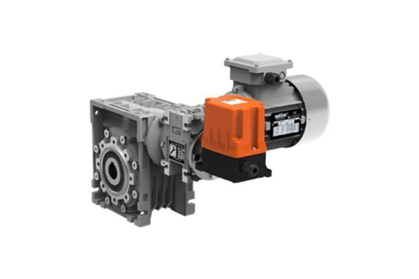 Avicultura & Pecuária